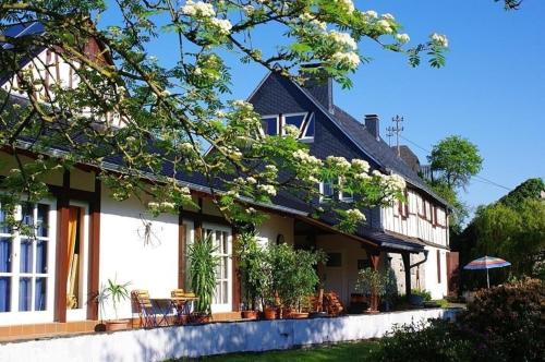 Appartement in Unzenberg Hunsruck mit Terrasse und Garten - a78047 in Kirchberg (Hunsruck)