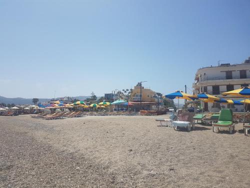 Bright & Comfy Apartments near the beach 5