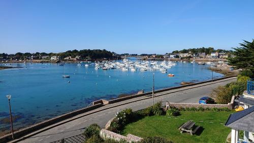 One-Bedroom Apartment room in Appartement avec WIFI VUE SUR LE PORT DE PLOUMANAC'H à PERROS-GUIREC - Réf 876