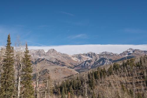 Villas at Cortina 4 by Alpine Lodging Telluride, Telluride (foto 5)