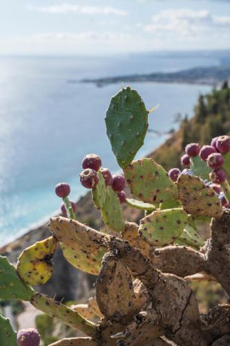 Splendida Casa A Taormina - image 9