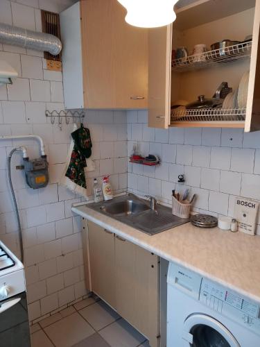 Konyha, Sunflower in Kauguri