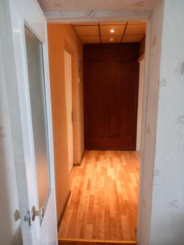 Sunflower in Kauguri