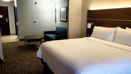 Holiday Inn Express Hotel & Suites Chicago South Lansing