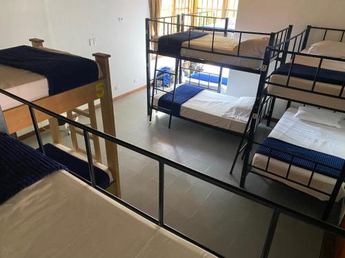 Yolo Hostel Medellin, Medellín (fotografie 10)