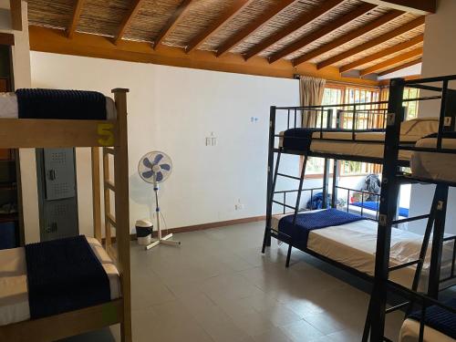 Yolo Hostel Medellin, Medellín (fotografie 9)