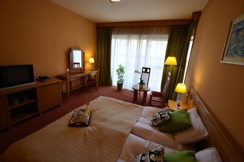 Hotel - Restaurant Gonduzo - image 4