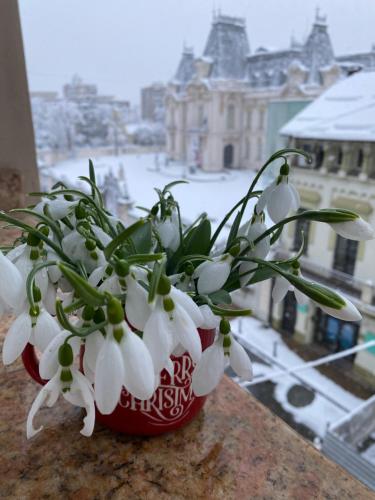 Black&White Studio Ultracentral