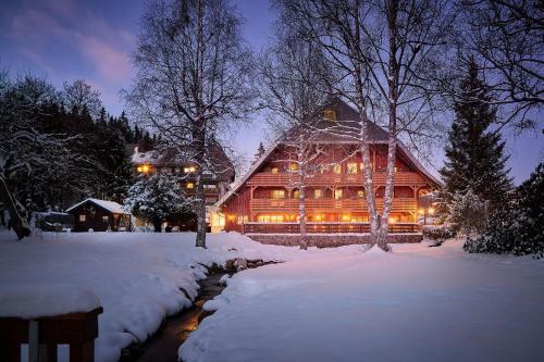 Boutique Hotel Muhle Schluchsee Schluchsee