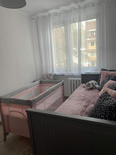 Apartament Górska Panorama, Szklarska Poręba (foto 9)