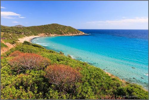 Sardinia SPA Apartment