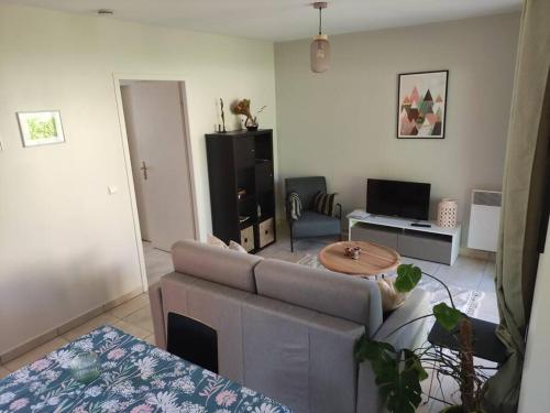 Koplietošanas atpūtas telpa ar TV, Charmant T2 moderne au calme avec jardin vue sur Canigou in Molitg-les-Bains