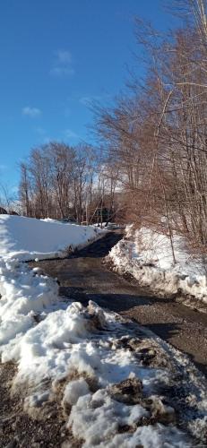 Lingkungan sekitar, Crkvine Cottage in Kolasin