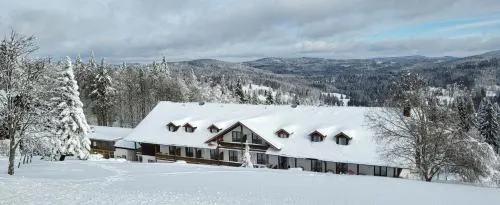 2 Zimmer Mitterdorf in Philippsreut, Deutschland