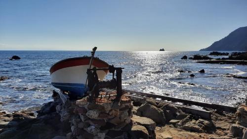 Les Bois Flottés . Plage de la Verne - Pension de famille - La Seyne-sur-Mer