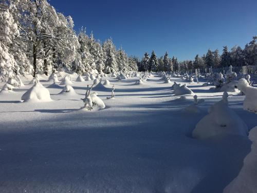 Mobilheim Hájovna Svahová (Mobilheim Hajovna Svahova) in Bolebor