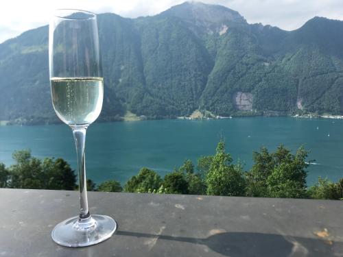 Bližnja okolica, Appartement Seelewärmerli - Balsam für Ihre Seele (Appartement Seelewarmerli - Balsam fur Ihre Seele) in Seelisberg