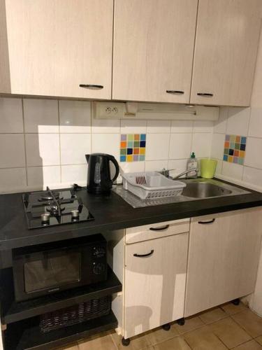 Appartement entier: chambre, cuisine + terrasse au calme sur jardin. in Saint Martin