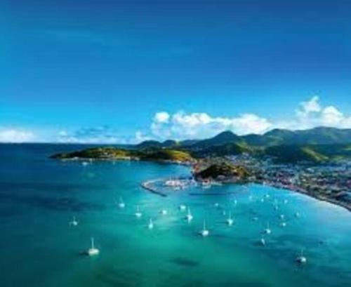 Appartement entier: chambre, cuisine + terrasse au calme sur jardin. in Saint Martin