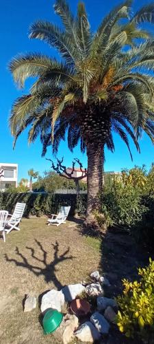 Appartement avec jardin en résidence avec piscine - Location saisonnière - Saint-Cyprien