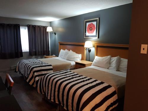 2 queen beds