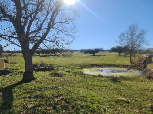 CASA RURAL "LA MAZA" entre encinas y dehesas