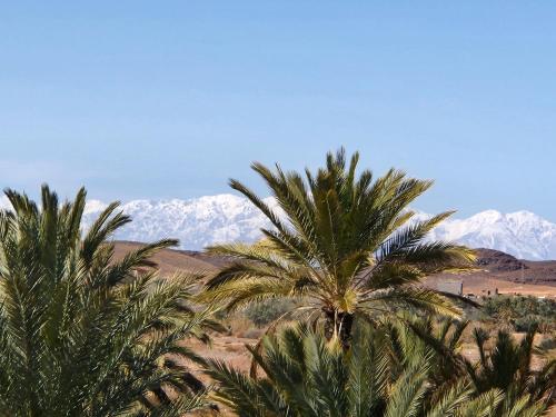 Riad Paradise of Silence