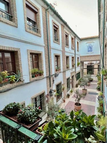NEW! Alojamiento - Los Patios de la Ribera, Cordoue (photo 6)