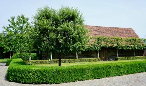 B&B De Hulst - image 6