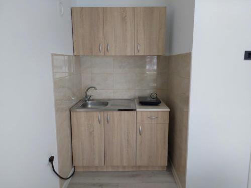 Apartman Aleksić u centru grada