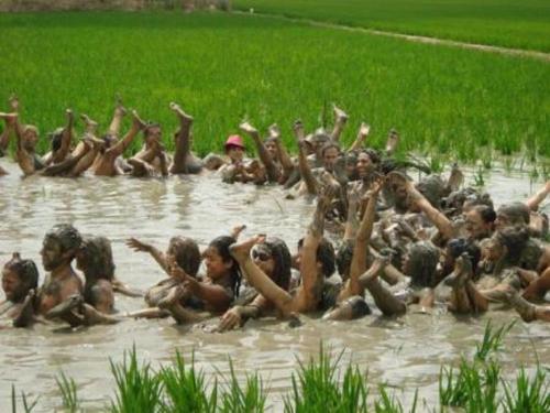 Apartament Cristina Apartament Cristina