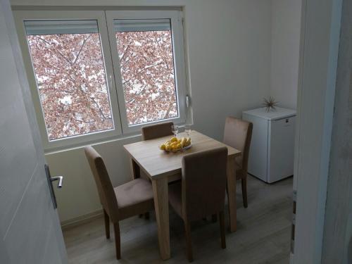 Apartman Aleksić u centru grada