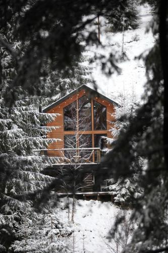 One-Bedroom Chalet