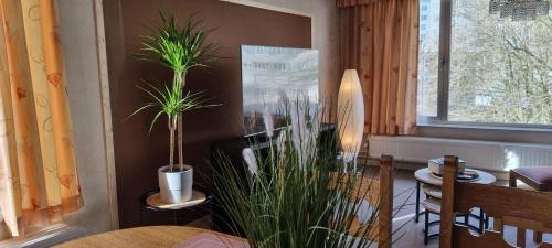 SUPERB FLAT WITH 3 BEDROOMS PARKING AND BALCONy, Amberes (foto 5)