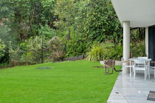 Mooloomba One by Discover Stradbroke Mooloomba One by Discover Stradbroke