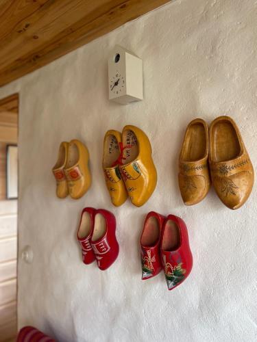 Uue-Ringi Holiday Uue-Ringi Holiday