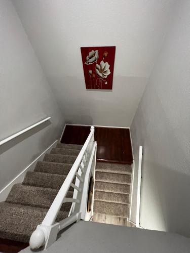 Cheerful 2 bedroom home 20 minutes from downtown in Houston, USA