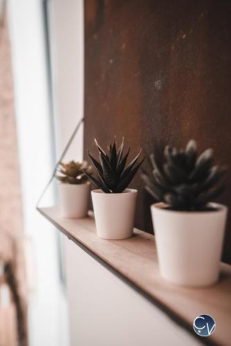 Mazet en pierre avec jardin privatif