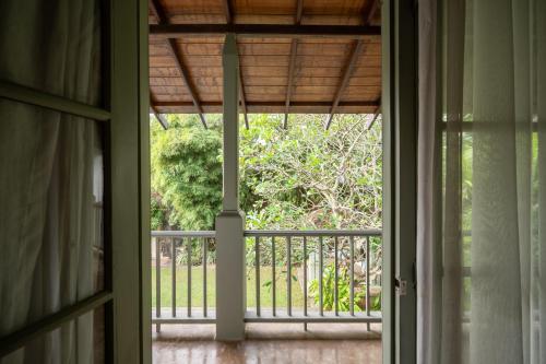41 Lighthouse Street - image 3