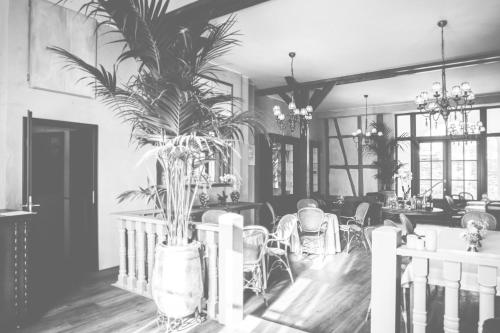 Hotel Bellini - image 6
