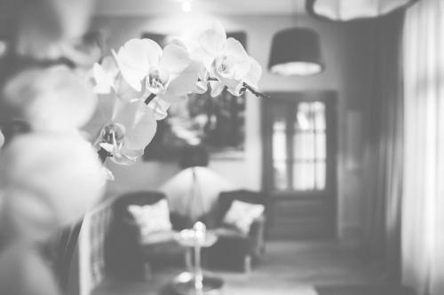 Kilátás, Hotel Bellini in Guxhagen