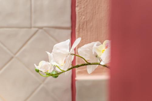 Wine Apartments Florence Vernaccia - image 11