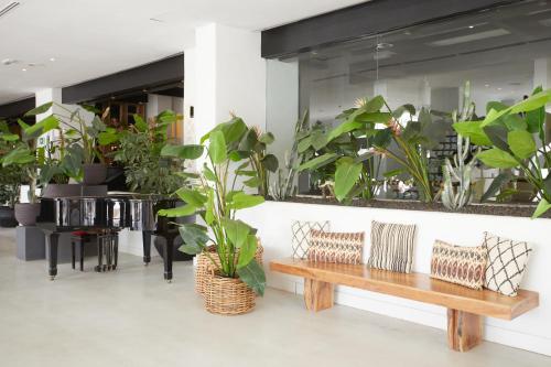 Hotel Jardin Tropical - image 4