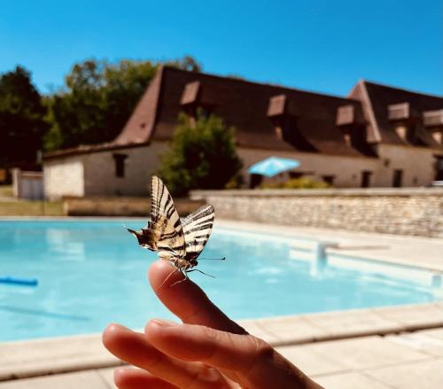 Le Domaine de Camberoux gite - Location saisonnière - Sainte-Foy-de-Longas