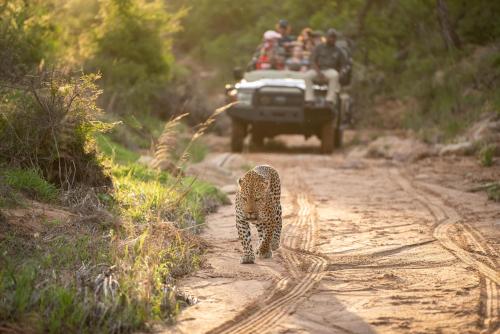 Kapama River Lodge