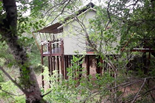 Kapama Buffalo Camp