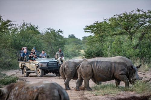 Kapama Buffalo Camp