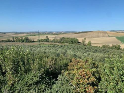 Bellissima Villa Piscina, Toscana mare e Saturnia