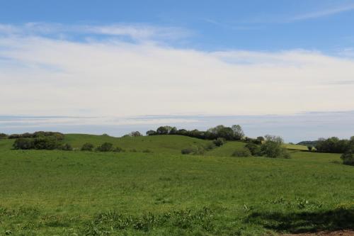 The Old Milking Parlour at Knapp Farm