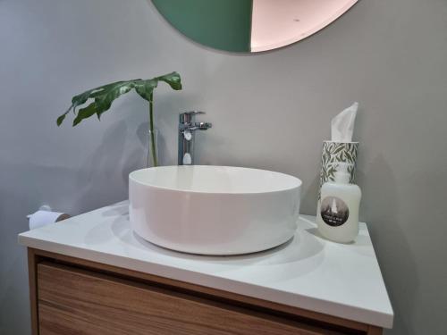 Forest & Pine Forest & Pine